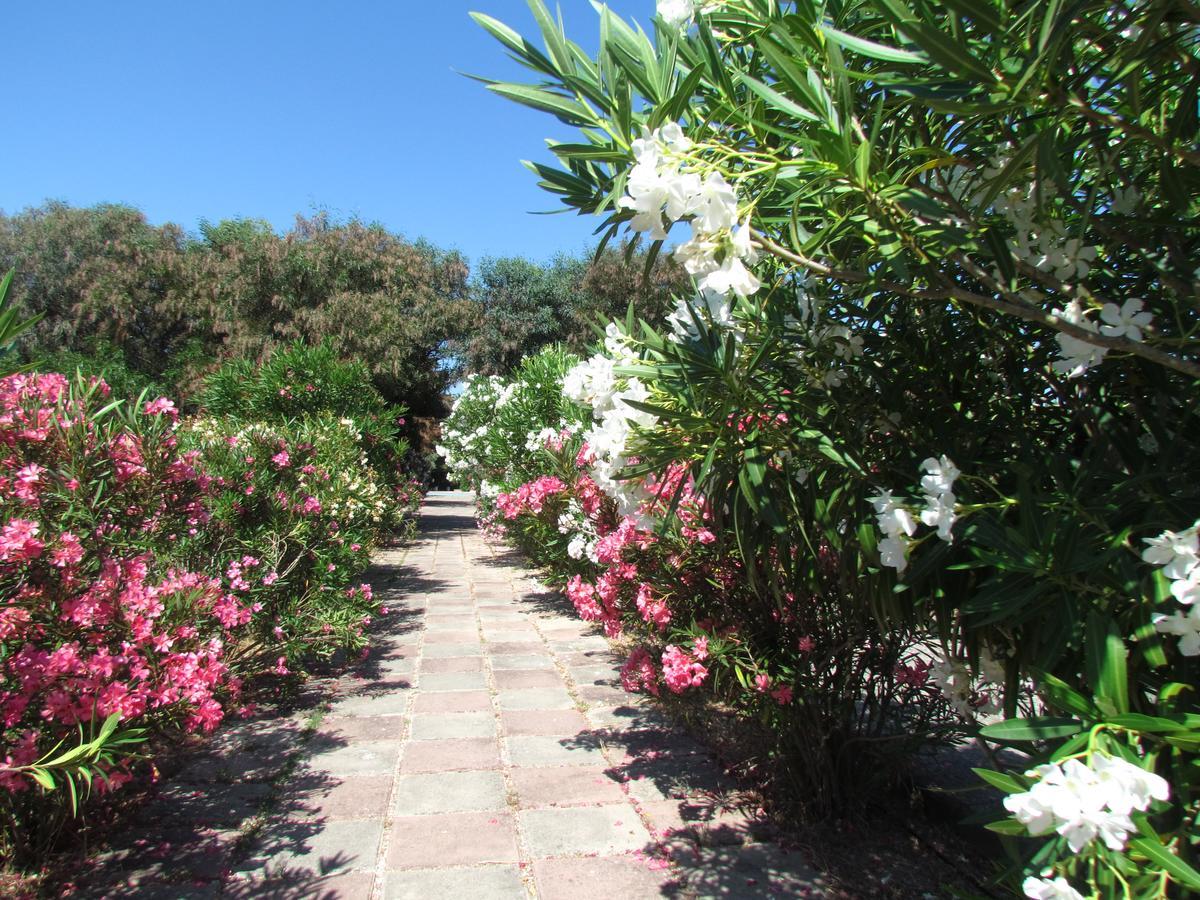 Camping Baia Paradiso Badesi Extérieur photo